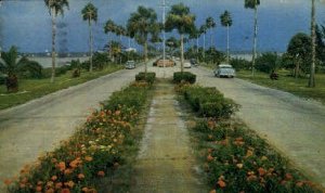 Flowerlined Causeway - Clearwater, Florida FL  