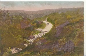 Surrey Postcard - Hindhead - Ref 5719A