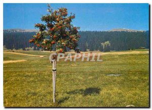 Postcard Modern Basin Arnon Near Bullet Cochet left and Chasseron