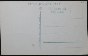 The Nurseries Coyoacan Mexico