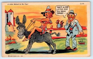 RAY WALTERS Farm Comic Fine Little Ass Donkey SEXY GIRL Risque 1942 Postcard