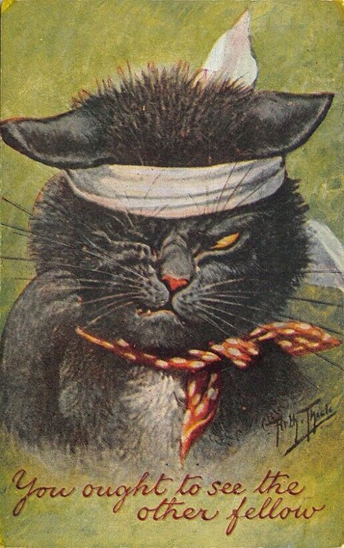 Arthur Thiele Artist you ought to see the other fellow Dressed Cat Postcard