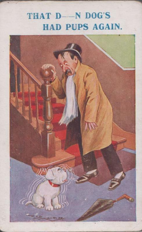 Man Drunk Seeing His Dog Double Vision Antique Comic Humour Postcard