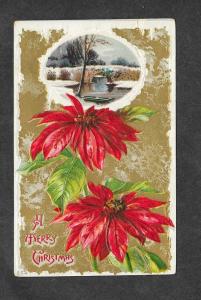 Vintage Embossed Postcard Christmas Flowers!