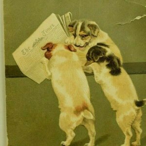 1870's-80's Raphael Tuck New Year's Puppies Dogs Reading Newspaper Bavaria P194