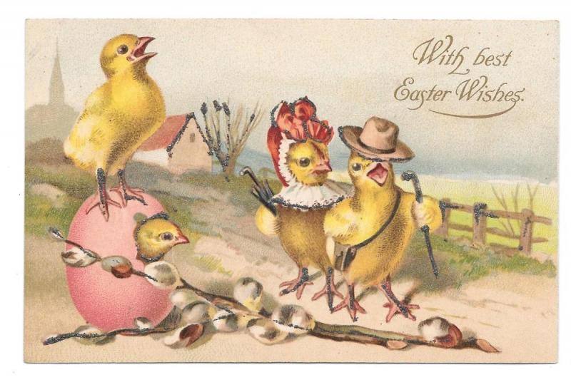 Easter Anthropomorphic Dressed Chick Family Hiking Postcard 