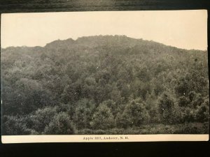 Vintage Postcard 1907-1915 Apple Hill Andover New Hampshire