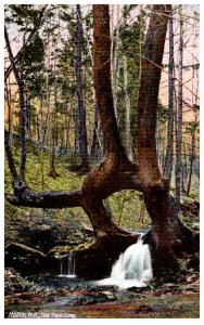 New Hampshire  Hollis The Twin Elms