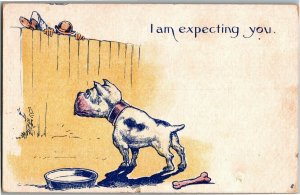 Watch Dog Sees Man Climbing Fence, I Am Expecting You Vintage Postcard D49