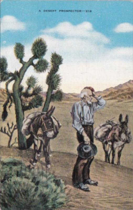 A Desert Prospector With Donkeys 1944