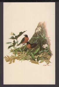Bird Robin - Griggsville Wild Bird Society, Richard Sloan Collector Print Chrome