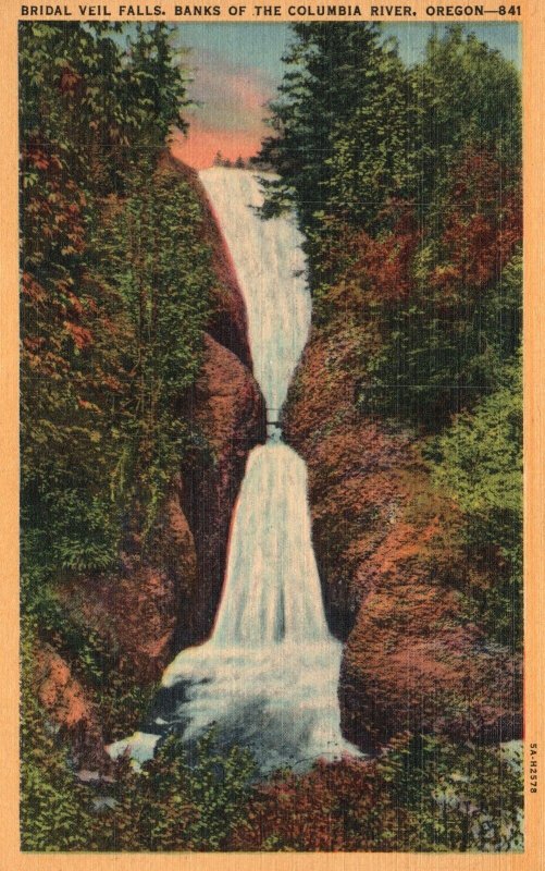 Vintage Postcard Bridal Veil Falls Banks of Columbia River Waterfalls Oregon OR