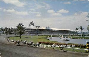 Club House turn at Gulfstream Park Florida, FL, USA Horse Racing Unused 