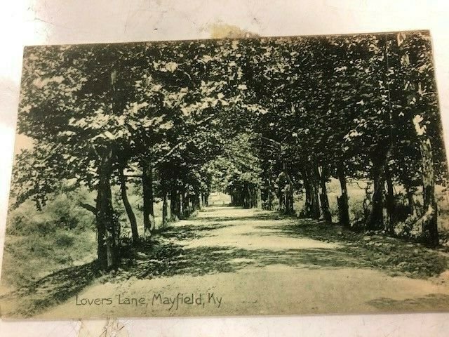 Mayfield Kentucky Lovers Lane Street View Antique Postcard K83087