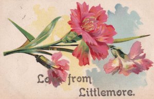 Love From Littlemore Oxford Village Antique Postcard