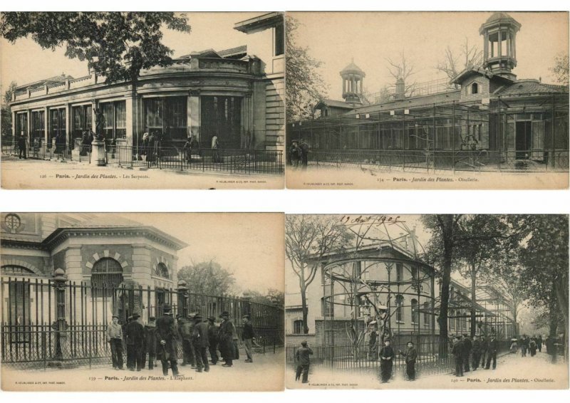 ZOO JARDIN DE PLANTES ANIMAUX 200 CPA pre-1930 (L4066)