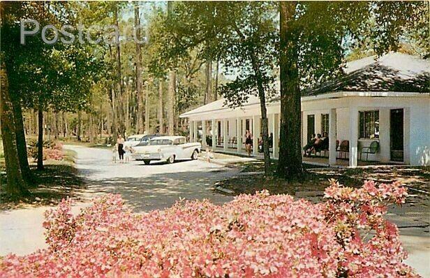 MS, Biloxi, Mississippi, Sea Gull Court, 1950s Cars, Dexter Press No. 10035-B