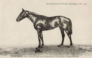 Incertaine La France Chevaline 1909 Race Horse Antique PB Postcard