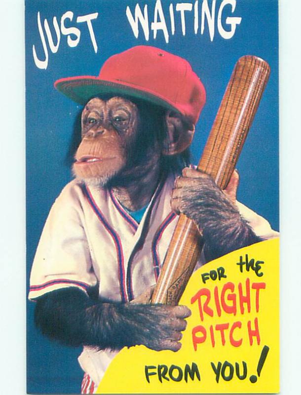 Unused Pre-1980 MONKEY IN BASEBALL UNIFORM HOLDING BAT J2736