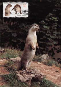 Performing Standing Seal Otter Animal German FDC Postcard