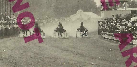 Iola KANSAS RPPC 1909 HARNESS RACING Horse Race TROTTERS Trotting COUNTY FAIR