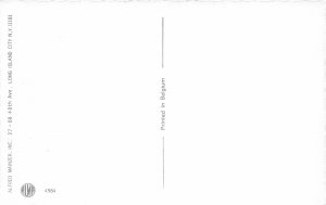 G91/ Dressed Cats Alfred Mainzer Postcard c1940s Photographer Camera 4