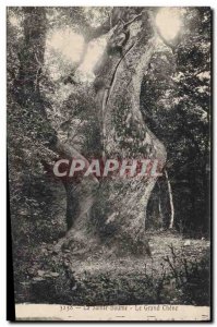 Old Postcard Tree La Sainte Baume the large oak