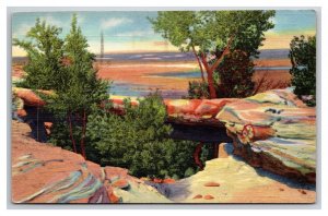 Natural Bridge Petrified Forest National Monument Arizona Linen Postcard Z2