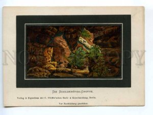 420790 GERMANY BERLIN aquarium Turtles grotto Vintage Eigenthum lithograph card