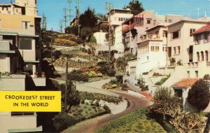 Postcard Crookedest Street in the World San Francisco California
