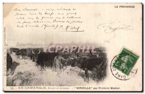 In the Camargue eille by Frederic Mistral - cow - cow - Old Postcard