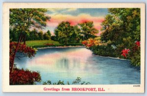 1940 Brookport Illinois IL Vintage Postcard Greetings Scenic View Lake Unposted