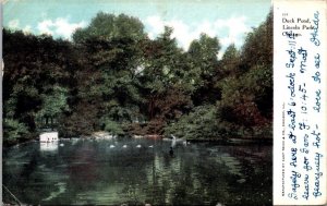 Illinois Chicago Lincoln Park Duck Pond 1908