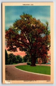 Tarleton's Oak Tree Charlottesville Virginia Postcard Linen VA Unposted Vintage