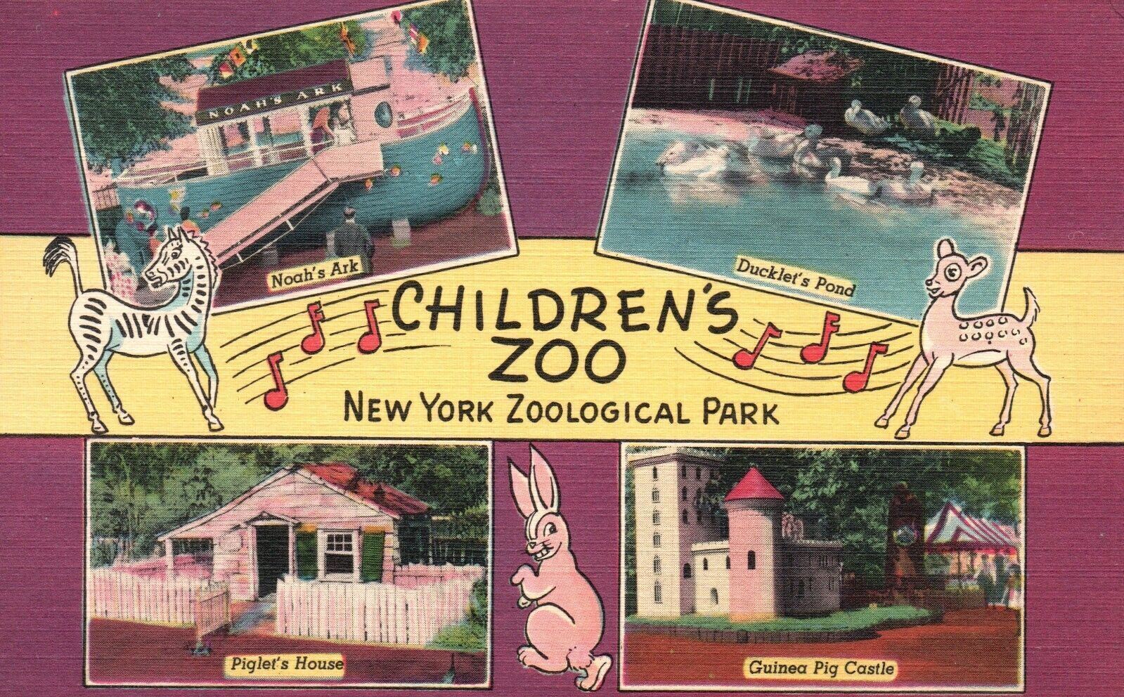 Vintage Postcard 1930's Children's Zoo New York Zoological Park ...