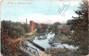 Trolley Bridge Hagaman, New York  