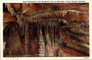 Vintage Postcard Onyx Colonnade in Mammoth Cave Kentucky 1953 Frozen Niagara 211