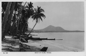 Beach Of Palms Penang Indonesia Real Photo Old Postcard
