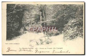 Old Postcard Tree La Sainte Baume in the forest The couch