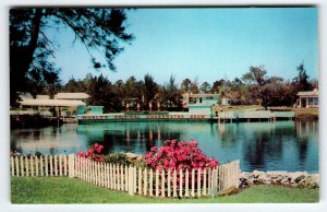 Weeki Wachee Florida Postcard Worlds Original Underwater Show Chrome Unused