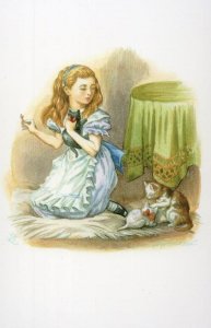 Dihah White Kitten Alice's Adventures In Wonderland Book Postcard