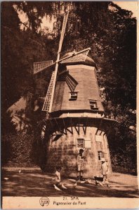 Belgium Spa Pigeonnier du Pare Windmill Vintage Postcard C048