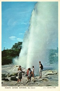 Postcard Pohutu Geyser Outstanding Scenic Attractions Rotorua New Zealand