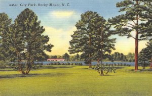 City Park, Rocky Mount, North Carolina ca 1940s Vintage Linen Postcard 