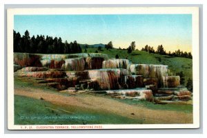 Vintage 1930's Postcard Cleopatra Terrace Yellowstone National Park Wyoming