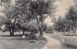 GREELEY COLORADO CORNER OF CITY PARK~GEORGE D HORNE EXCELSIOR POSTCARD 1908