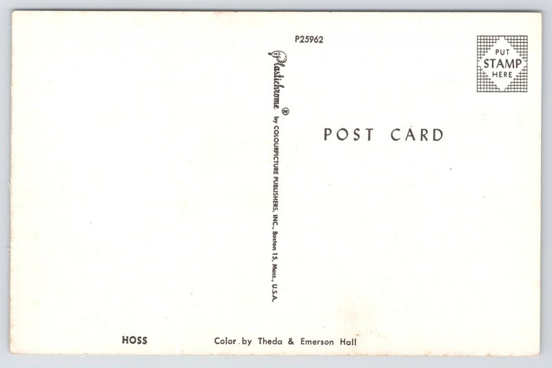 Animal~Saddled Horse~Hoss~1950s Postcard