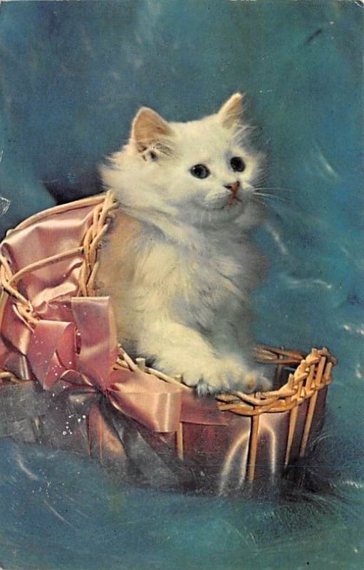 Capitalist Cat 1956 