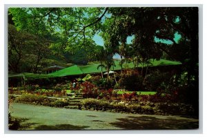 Vintage 1960's Advertising Postcard Waioli Tea Room Manoa Valley Honolulu Hawaii