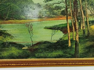 Vintage Postcard 1910's A Tree Lined By the River or Lake
